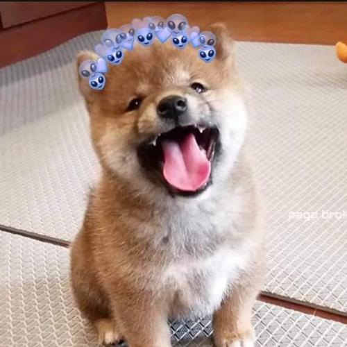 สมาชิกหมายเลข 5364297