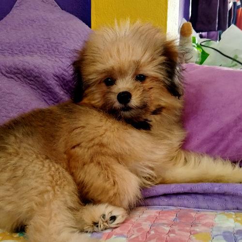 สมาชิกหมายเลข 4023232