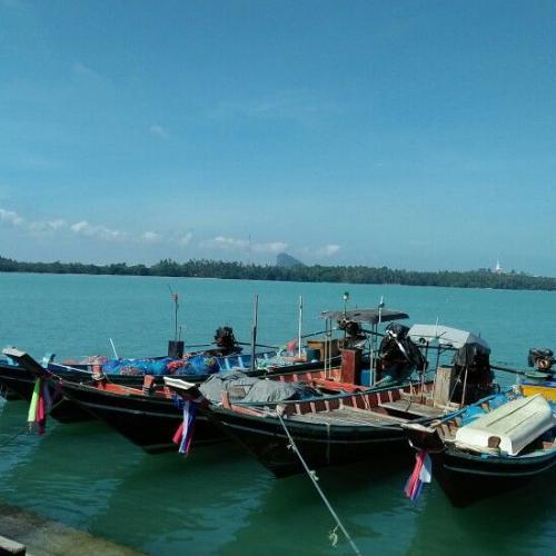 สมาชิกหมายเลข 5025867