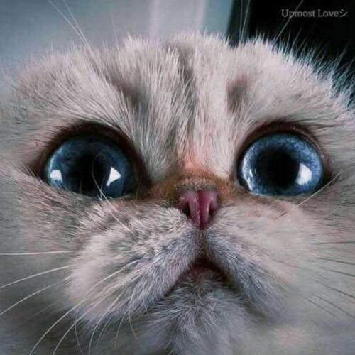 สมาชิกหมายเลข 6010610