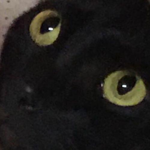 สมาชิกหมายเลข 5604823