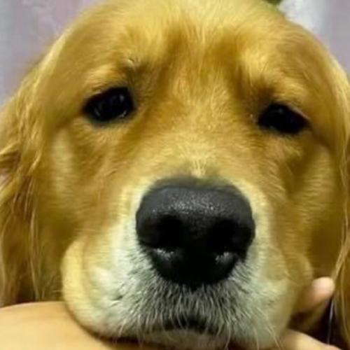 สมาชิกหมายเลข 6700935