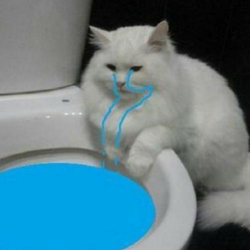 สมาชิกหมายเลข 6701319