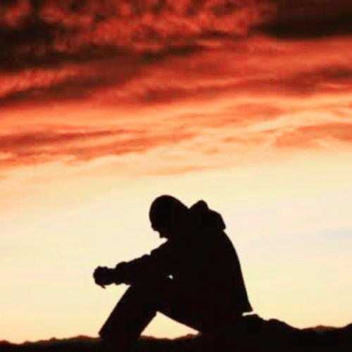 สมาชิกหมายเลข 7185268