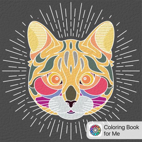 สมาชิกหมายเลข 2547760