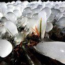 สมาชิกหมายเลข 4404756