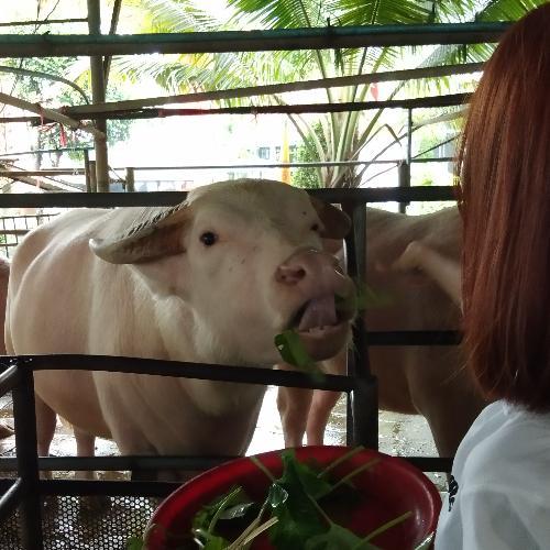 สมาชิกหมายเลข 3658174