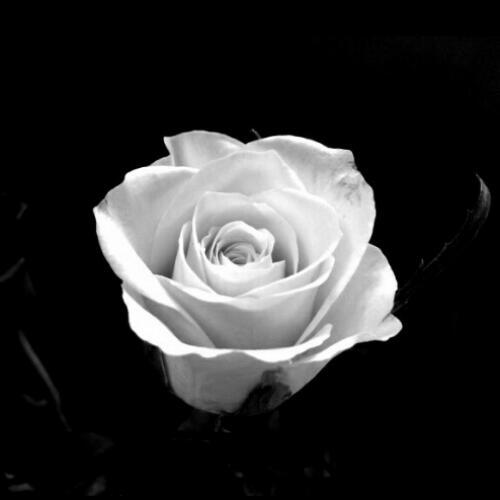 สมาชิกหมายเลข 4757967