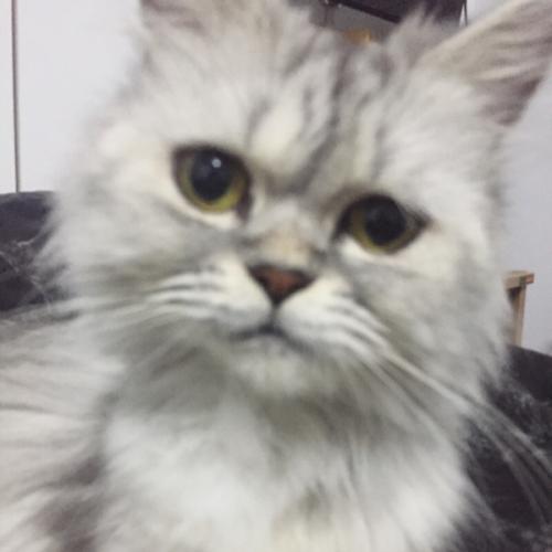 สมาชิกหมายเลข 4344083