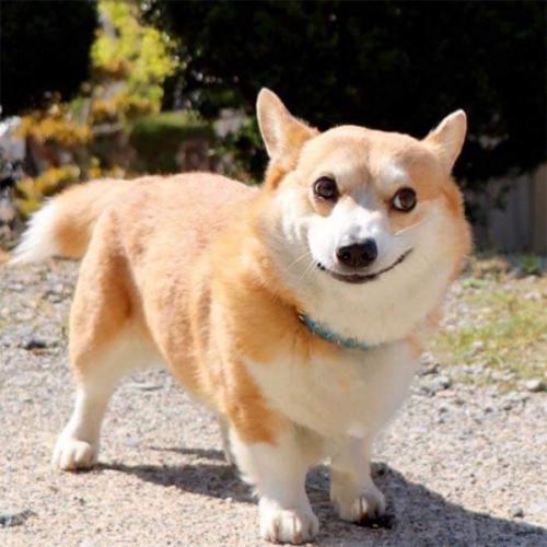 สมาชิกหมายเลข 1619478