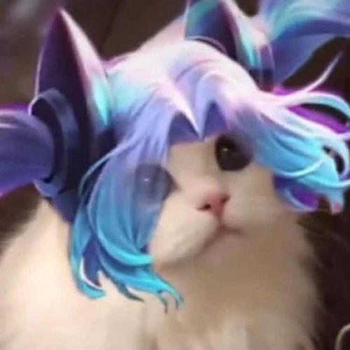 สมาชิกหมายเลข 5776705