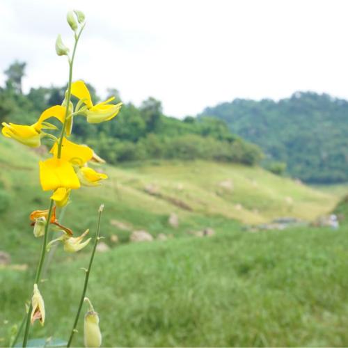 สมาชิกหมายเลข 6080495