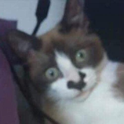 สมาชิกหมายเลข 6482916