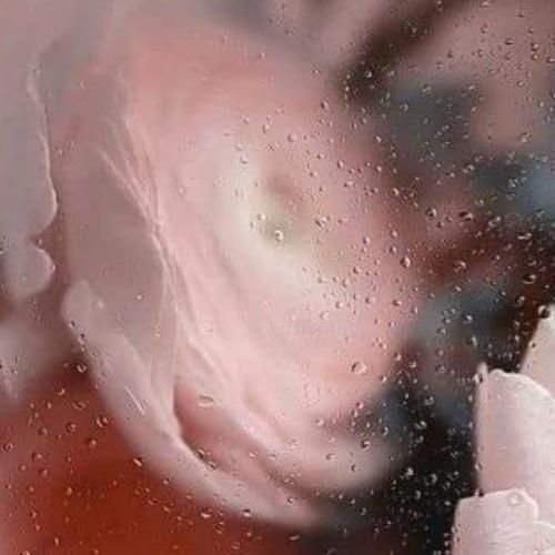 สมาชิกหมายเลข 6298208