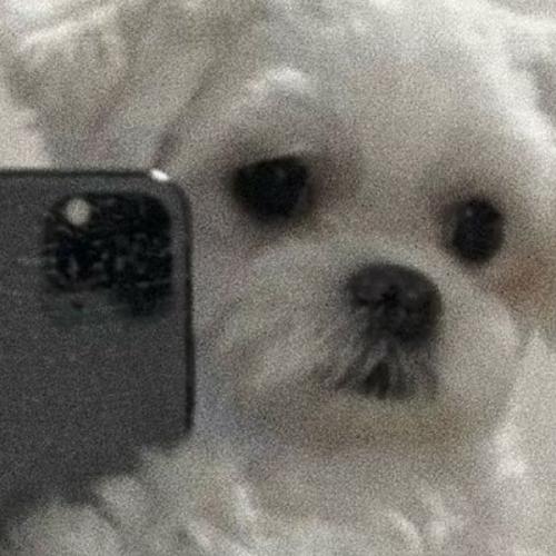 สมาชิกหมายเลข 6689161