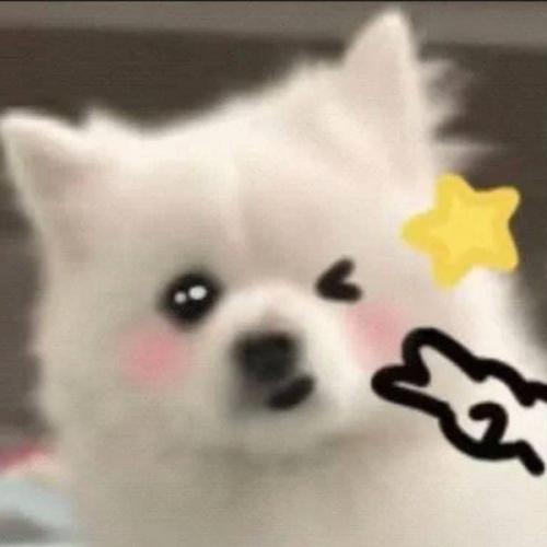 สมาชิกหมายเลข 7141289