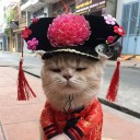 อะมีบ้าสีชมพู