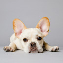 สมาชิกหมายเลข 1203961