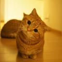 สมาชิกหมายเลข 4394893