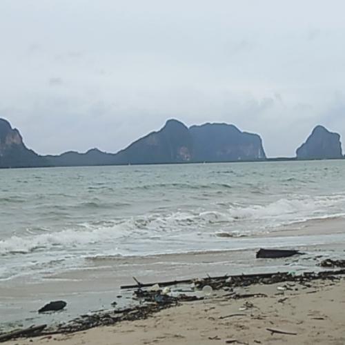 สมาชิกหมายเลข 2401167