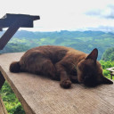 สมาชิกหมายเลข 4361309