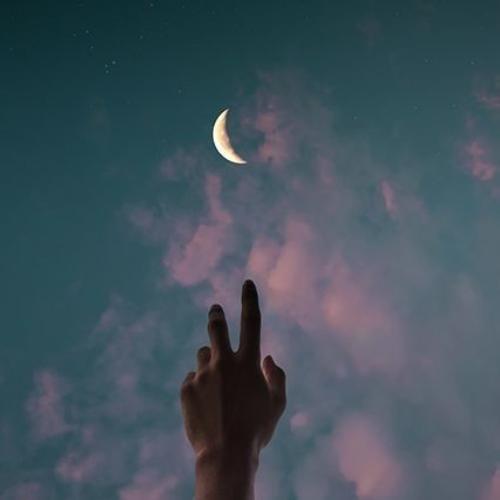 สมาชิกหมายเลข 5088241