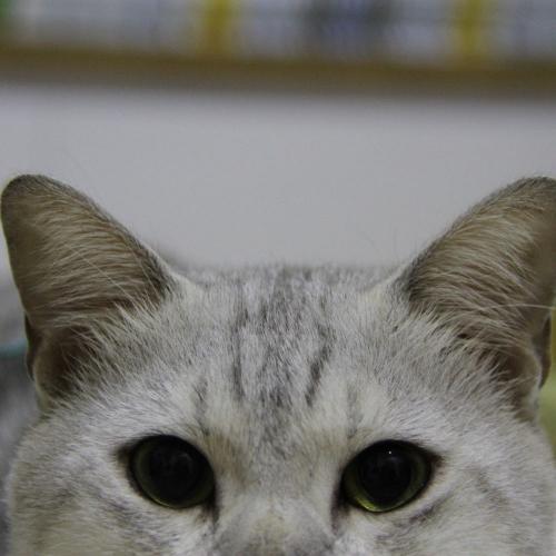 สมาชิกหมายเลข 1407507