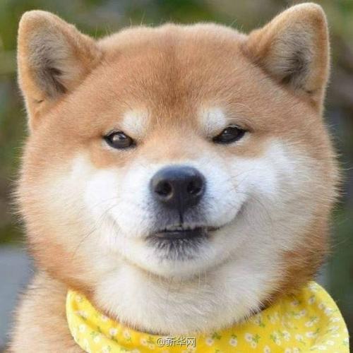 สมาชิกหมายเลข 3309282