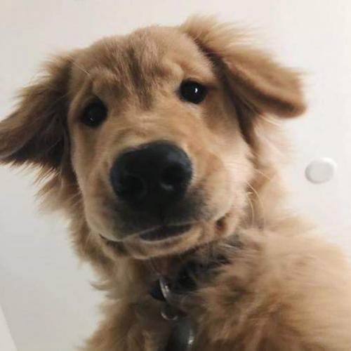 สมาชิกหมายเลข 5289032