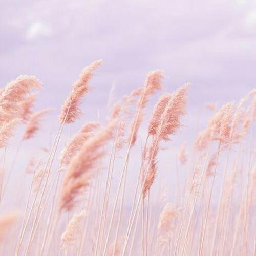 สมาชิกหมายเลข 5531057