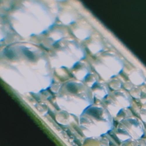 สมาชิกหมายเลข 6018276