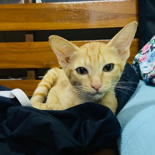 สมาชิกหมายเลข 6480184