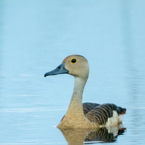 สมาชิกหมายเลข 6670466