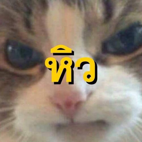 สมาชิกหมายเลข 6702086