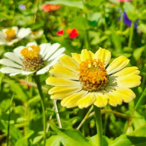 สมาชิกหมายเลข 1702795