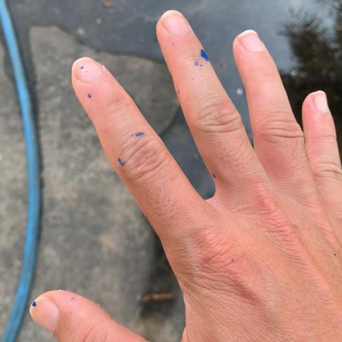 สมาชิกหมายเลข 3751221