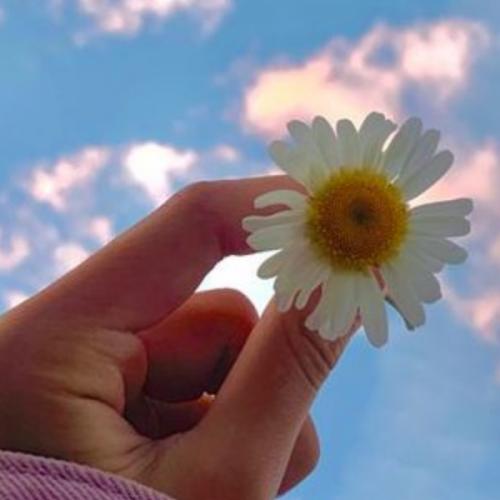 สมาชิกหมายเลข 4522400