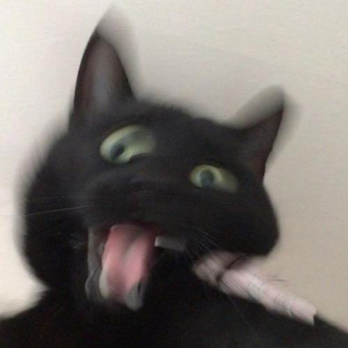 สมาชิกหมายเลข 7457177