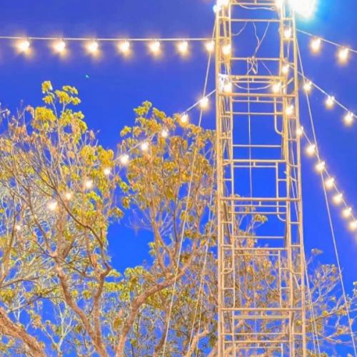 สมาชิกหมายเลข 8090087