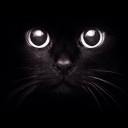 สมาชิกหมายเลข 3929417