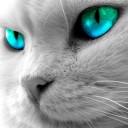 สมาชิกหมายเลข 3929641