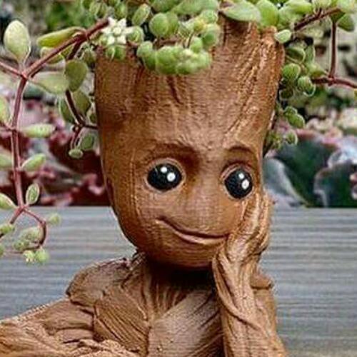 สมาชิกหมายเลข 2205113