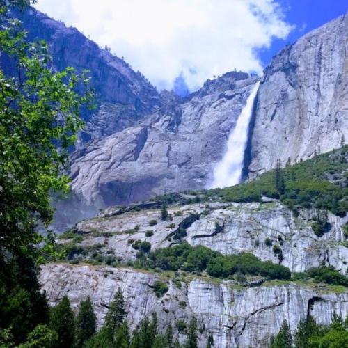 สมาชิกหมายเลข 4552629