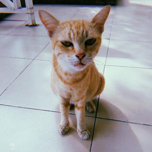 สมาชิกหมายเลข 3930756