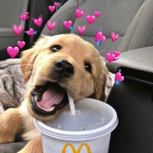 สมาชิกหมายเลข 4841189