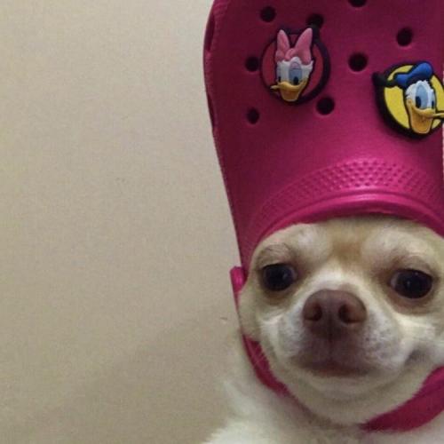 สมาชิกหมายเลข 5356599