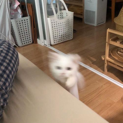 สมาชิกหมายเลข 5531358