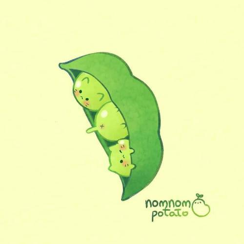 สมาชิกหมายเลข 6078597