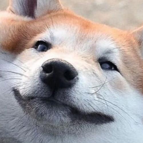 สมาชิกหมายเลข 6081702