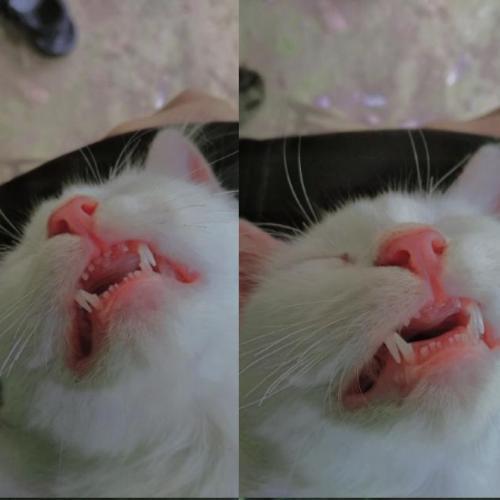 สมาชิกหมายเลข 5964914